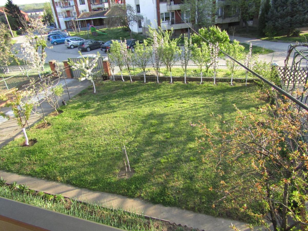 Apartman Milena Kladovo Luaran gambar